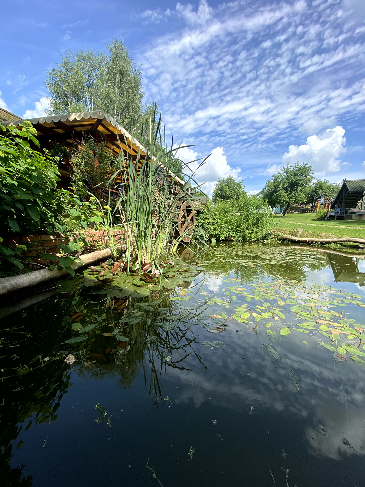 Пруд на территории